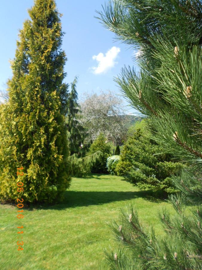 Agroturystyka Zielony Ogrod Scinawka Srednia Esterno foto